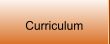 Curriculum